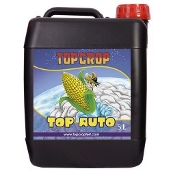 top-auto-5-lt-top-crop. 0