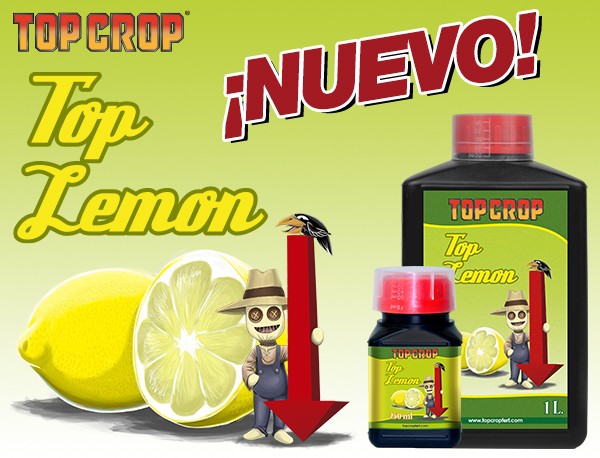 TOP LEMON- ACIDO CITRICO (Top Crop) 0
