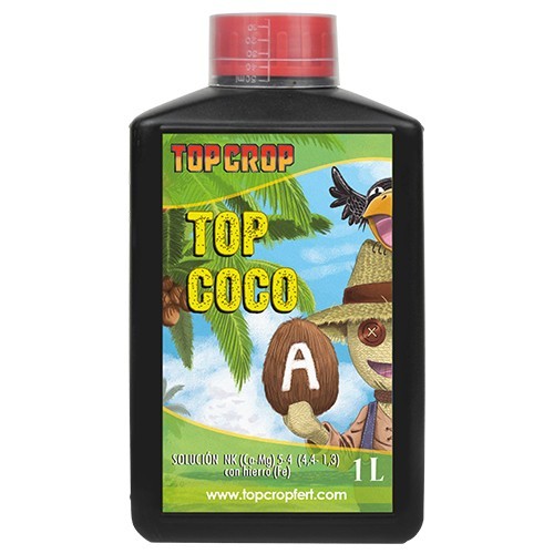 Top Coco A (Top Crop) 2