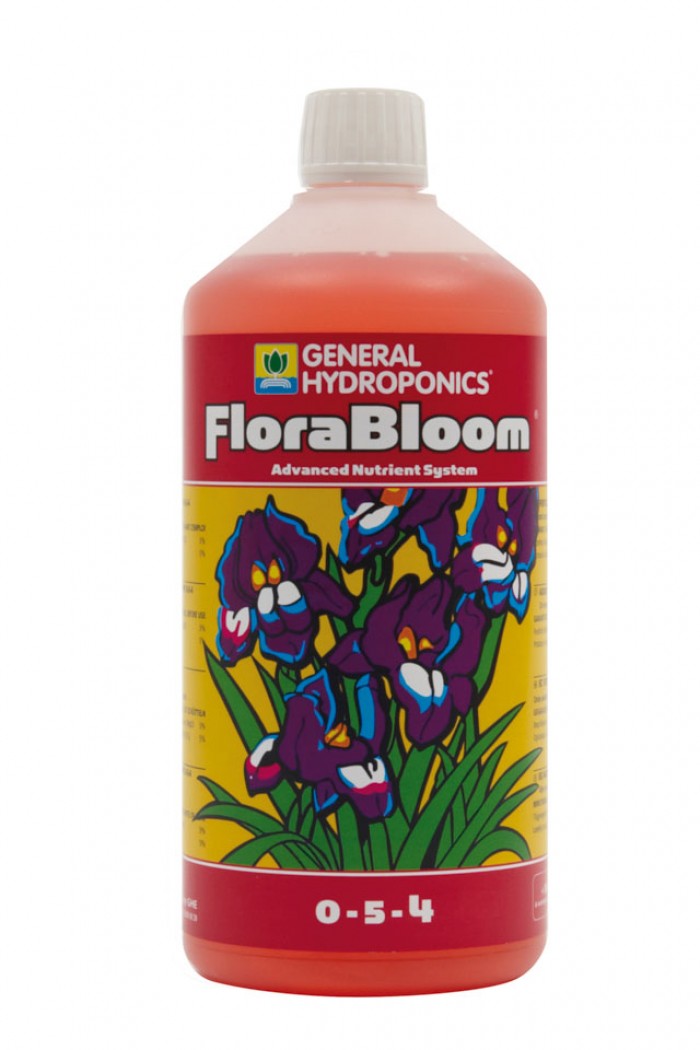 Flora Bloom (GHE)