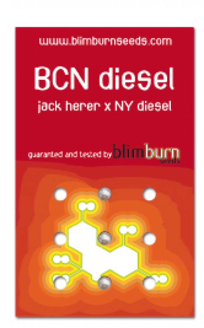 BCN Diesel (Blim Burn Seeds)
