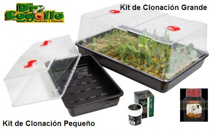 Kit de Clonación Propagación + Invernadero