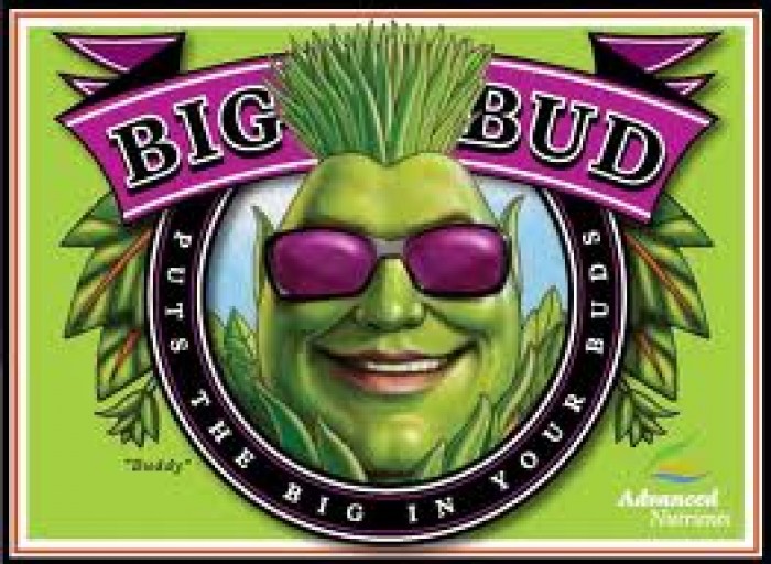 Big Bud (Advanced Nutrients) Abono de floración para Cannabis.