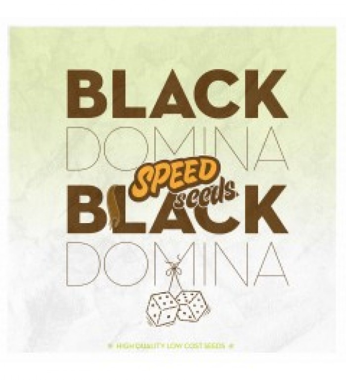 Black Domina x Black Domina 30 unds (Speed Seeds) 