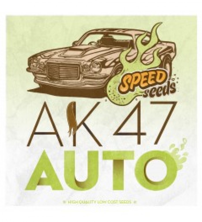 Ak 47 Auto 60 unds (Speed Seeds) Semilla Feminizada Autofloreciente