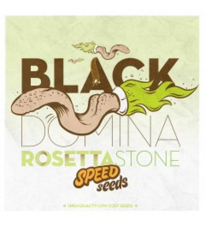 Black Domina x Rosetta Stone 30 unds (Speed Seeds)