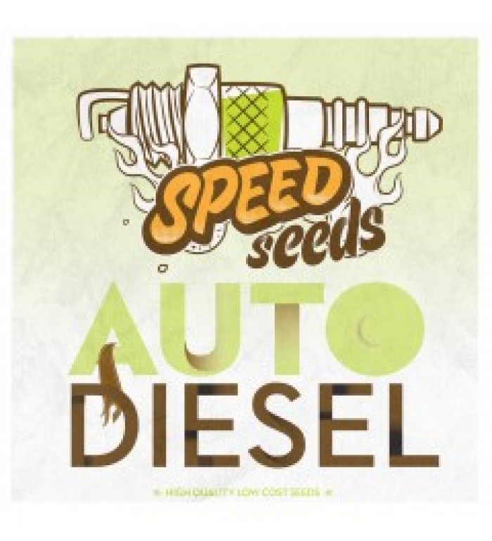Auto Diesel (Speed Seeds) Semilla Feminizada Autofloreciente Granel Barata