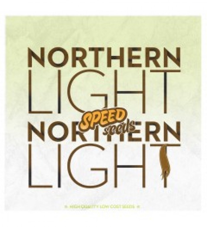 Northern Light x Northern Light 30 unds (Speed Seeds) Semilla feminizada cannabis