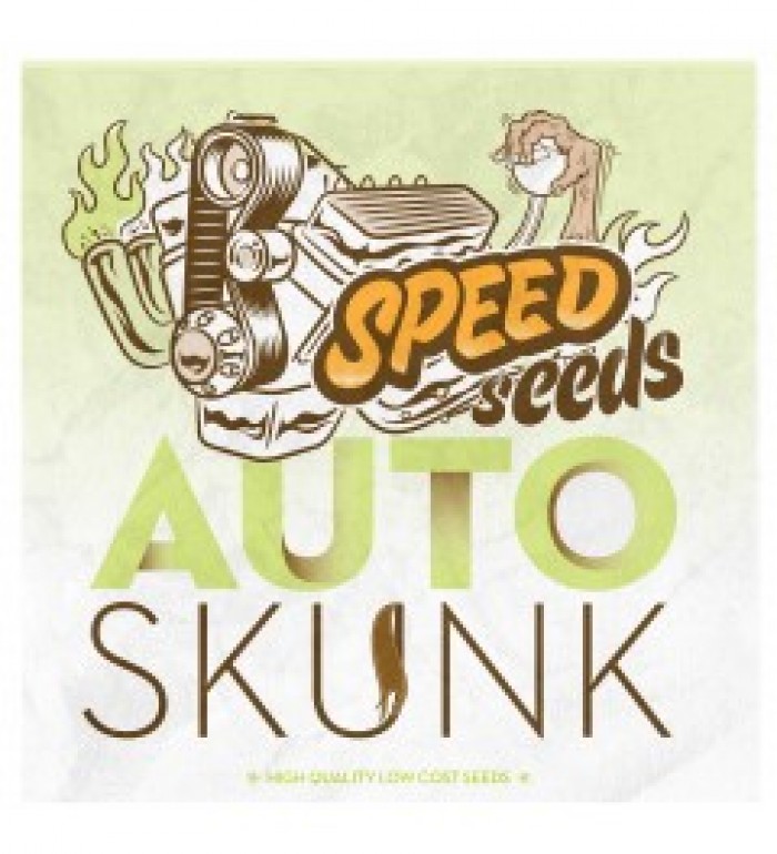 Auto Skunk 30 unds (Speed Seeds) Semilla Feminizada Autofloreciente Cannabis