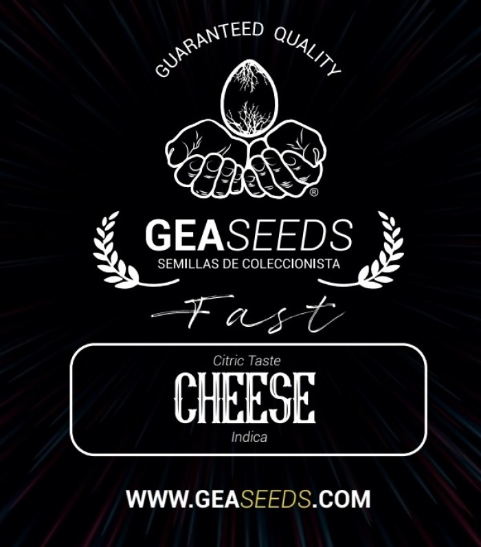 Fast Cheese Feminizada (Gea Seeds)