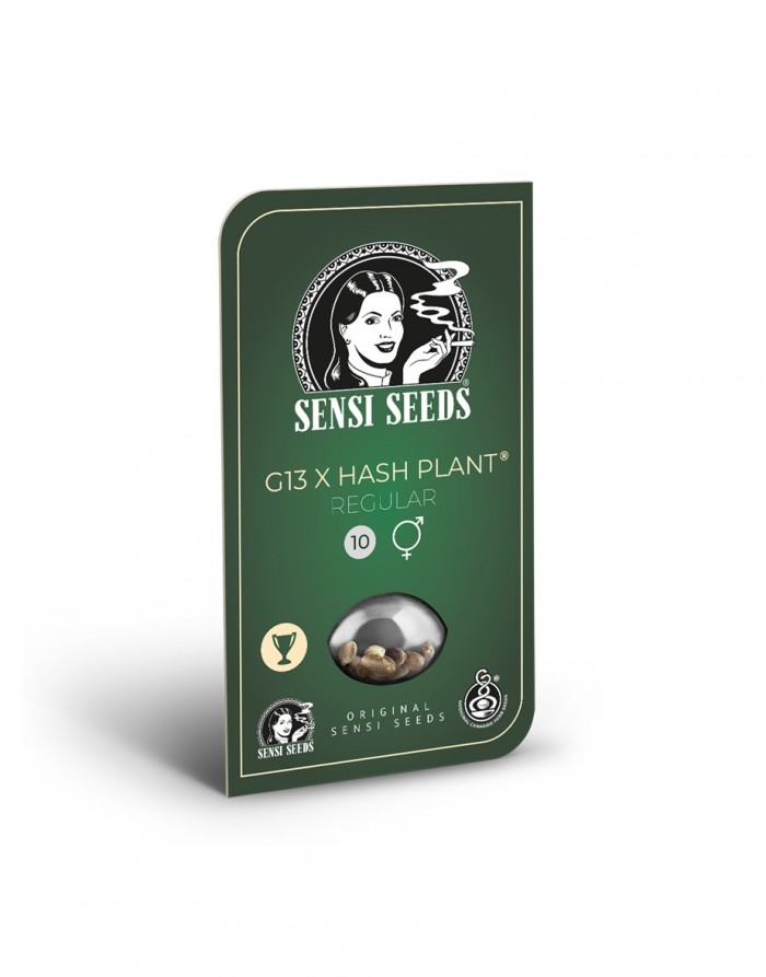 Mr. Nice G13 x Hash Plant (Sensi Seeds) Regular 