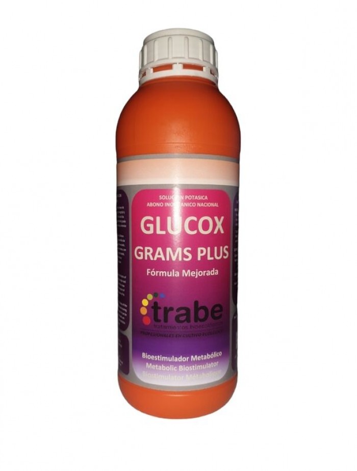 Glucox Grams Plus Trabe 