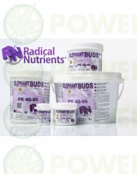 Elephant Buds PK 42-56 Radical Nutrients
