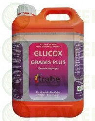 Glucox Grams Plus Trabe 5 Litros