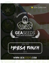 Mimosa Punch Feminizada (Gea Seeds)