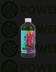 b-cuzz-blossom-builder-liquid