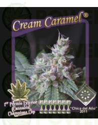 Cream Caramel (Sweet Seeds) Feminizada