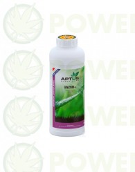 enzym-aptus