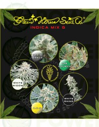 Indica Mix G (Green House Seeds)