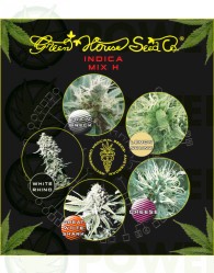 Indica Mix H (Green House Seeds)