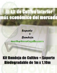 Kit Bandeja de Cultivo + Soporte Biodegradable 