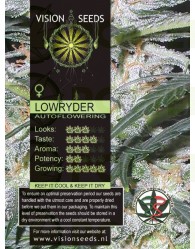 Lowryder Auto Vision Seeds