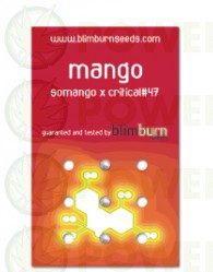 Mango (Blim Burn Seeds)