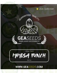 Mimosa Punch Feminizada (Gea Seeds)