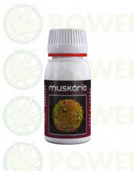 Muskaria (Agrobacterias) 60ml Fungicida