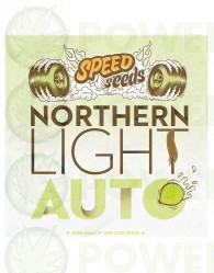 Northern Light Auto Speed Seeds Semilla feminizada marihuana barata granel