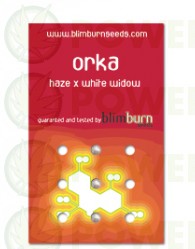 Orka (Blim Burn Seeds)