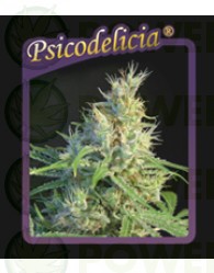 Psicodelicia Feminizada (Sweet Seeds) 