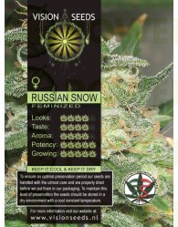 Russian Snow Vision Seeds 