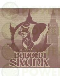 Buddha Skunk Feminizada Classics (Buddha Seeds)