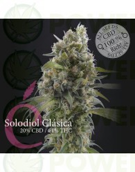 Solodiol CBD Clásica (Elite Seeds)