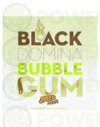 Black Domina x Bubble Gum 30 unds (Speed Seeds)