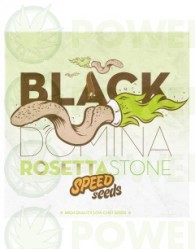 Black Domina x Rosetta Stone 60 unds (Speed Seeds) Semilla Feminizada Granel barata