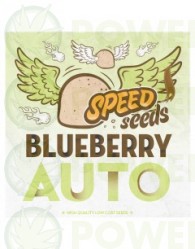 Blueberry Auto 30 unds (Speed Seeds) Semilla Feminizada Autofloreciente Cannabis