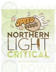  Northern Light x Critical 30 unds (Speed Seeds) Semilla Feminizada Granel Barata