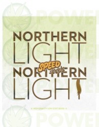 Northern Light x Northern Light 30 unds (Speed Seeds) Semilla feminizada cannabis