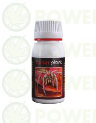 Spider Plant (Agrobacterias) Araña Roja 60ml