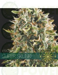 Super Skunk Feminizada (Vision Seeds)