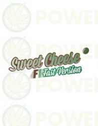 Sweet Cheese (F1 Fast Version) Sweet seeds Semilla Feminizada Cannabis