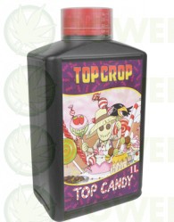 Top Candy (Top Crop)