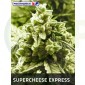 SuperCheese Express (Positronics)