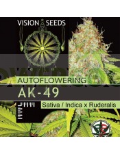 AK-49 (Vision Seeds) Semilla feminizada