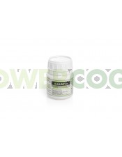 AlliumProt (Prot-Eco) 100ml