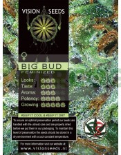 Big Bud semilla marihuana