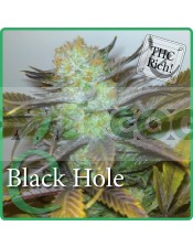 Black Hole (Elite Seeds) Semilla Feminizada