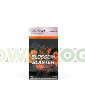 Blossom Blaster (grotek) 20gr